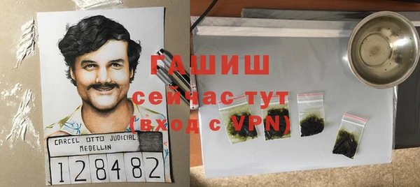 PSILOCYBIN Волосово